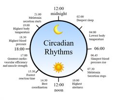 circadian rhythms